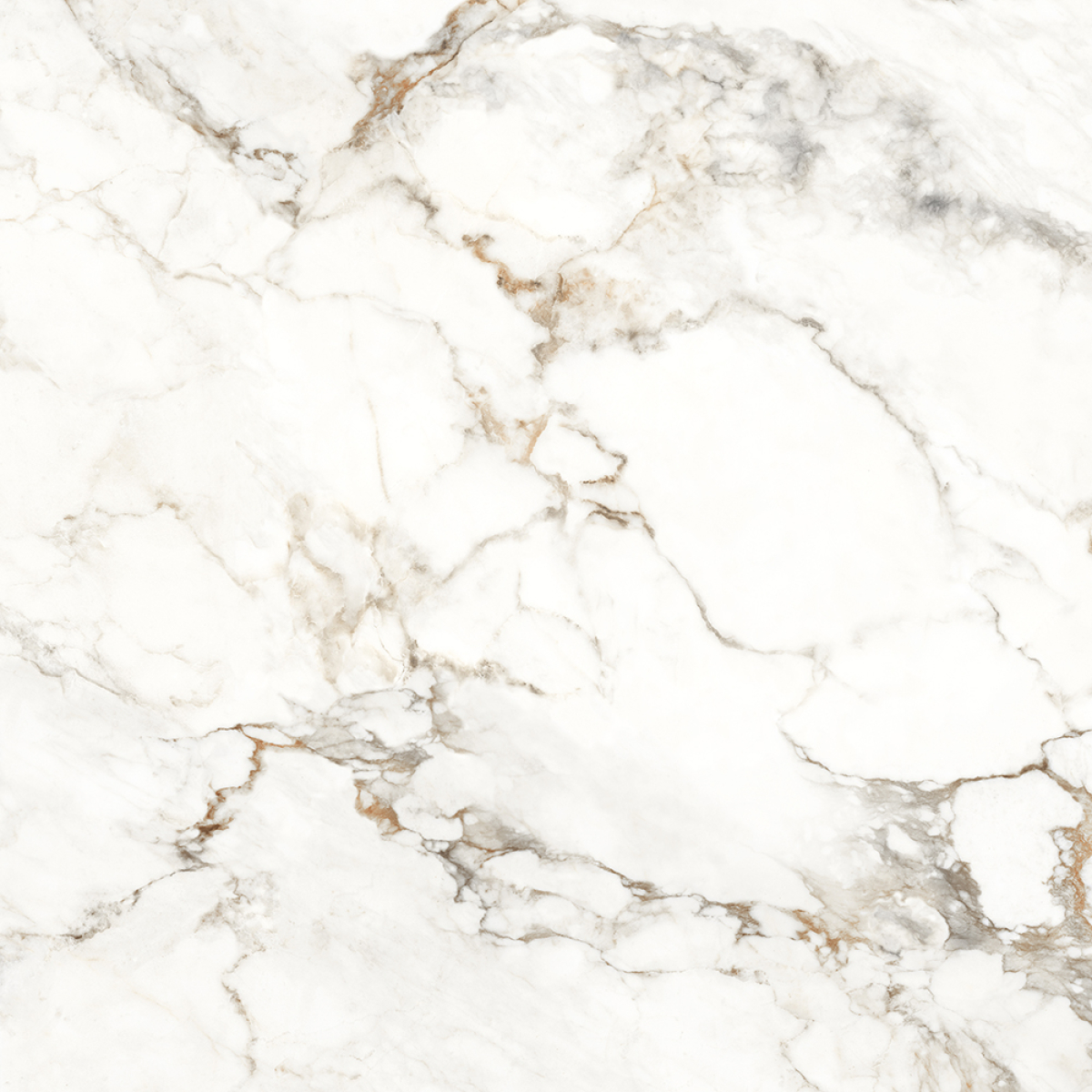 CARPECIA GOLD